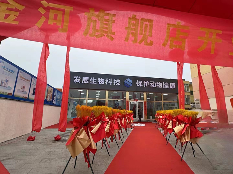 ��ʱ������(�й���)�������ǲ�!