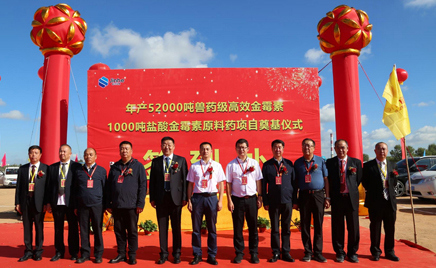 ����ʱ���������ǲ�����z6mg�����52000����ҩ����Ч��ù��1000�������ù������ҩ��Ŀ��������ڨ