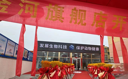 ����ʱ���������ǲ�����z6mg�����콢��ʢ��ҵ