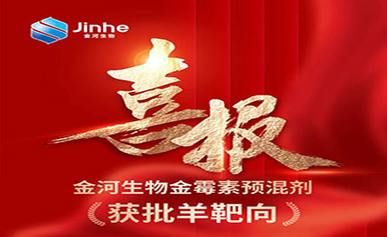 ���ذ�ϲѶ������ʱ���������ǲ�����z6mg�����ù��Ԥ��������ж�����